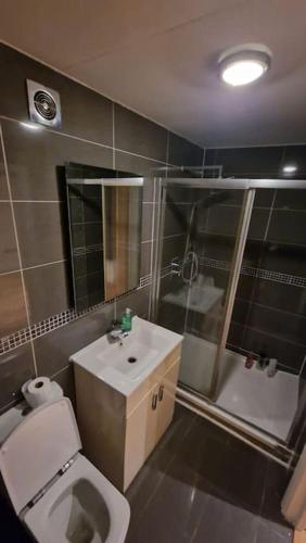 a bathroom with a toilet and a sink and a shower at Annexe with games room pool table ping pong air hockey movie projector in Windsor