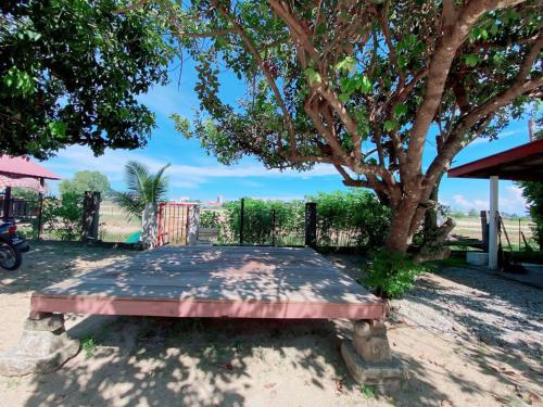 a bench sitting in front of a tree at Roomstay HELLOKITTY HOUSE in Kuala Terengganu