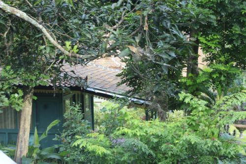 a house obscured by trees and bushes at Villa Herzza in Seminyak