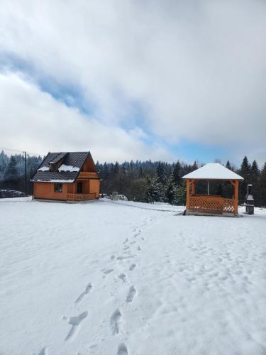 Han Pijesak的住宿－TAMARA - Brvnara za odmor，雪地覆盖着房子和雪地脚印