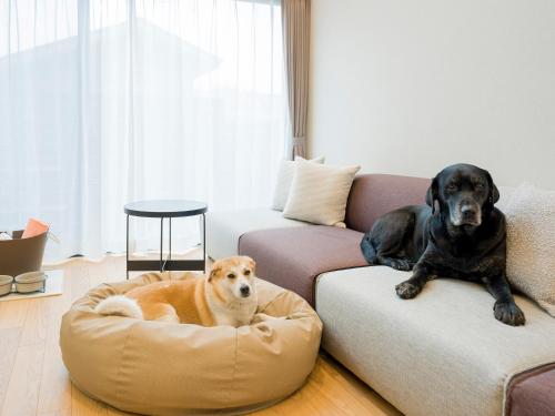 two dogs are sitting on the couch in a living room at Rakuten STAY VILLA Yatsugatake in Hokuto