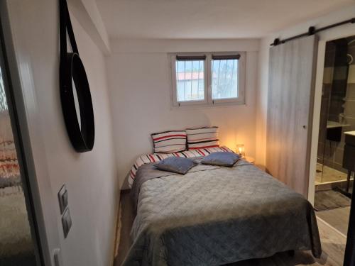 ein Schlafzimmer mit einem Bett mit zwei Kissen und einem Fenster in der Unterkunft spacieux studio dans le Beaujolais in Saint-Georges-de-Reneins