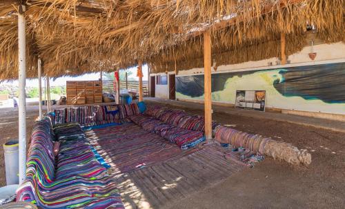 a group of colorful chairs under a straw roof at Daniela Diving Resort Dahab in Dahab