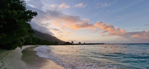 a beach with the ocean and a cloudy sky at La Belle Tortue in Silhouette Island