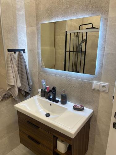 a bathroom with a white sink and a mirror at Fabulous Villa In Yerevan. in Yerevan