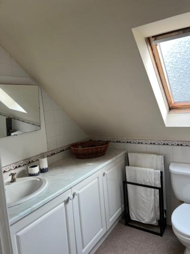 ein Bad mit einem Waschbecken und einem WC in der Unterkunft Self Contained Coach House in Leafy South Belfast the location is not accurate in Belfast