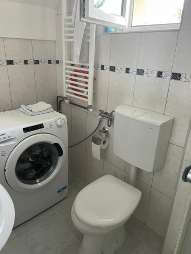 bagno con lavatrice e servizi igienici di Vila Vera a Divčibare