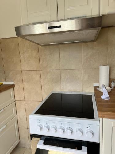 a white stove top oven in a kitchen at Vila Vera in Divčibare