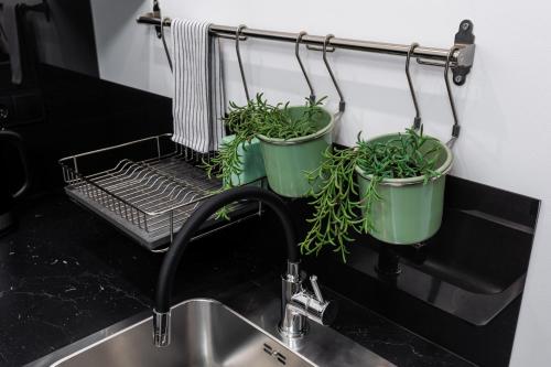 two potted plants hanging on a rack over a sink at Apartamenty PREMIUM, Faktura VAT, Źródłowa CENTRUM PARTER GROUND FLOOR PARKING SUPER LOKALIZACJA TWO BEDROOMS KITCHEN 50 M2 in Kielce
