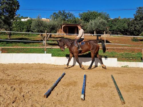 a man riding a horse in an obstacle course at Tiny House Loul Algarve no1 in Loulé
