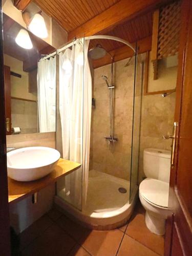 a bathroom with a shower and a sink and a toilet at Dúplex de invitados en medio del bosque in Firgas