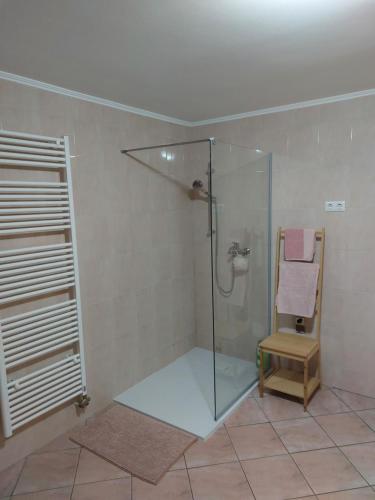 y baño con ducha, silla y toalla. en Apartma Sandi, en Šentilj