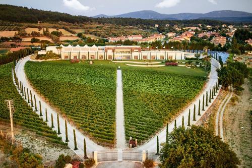 an aerial view of a vineyard with a building at Two Rooms Hotel in Urla