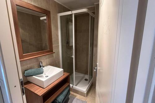 a bathroom with a sink and a shower at Refuge des Vues Alpines Isola 2000 in Isola 2000