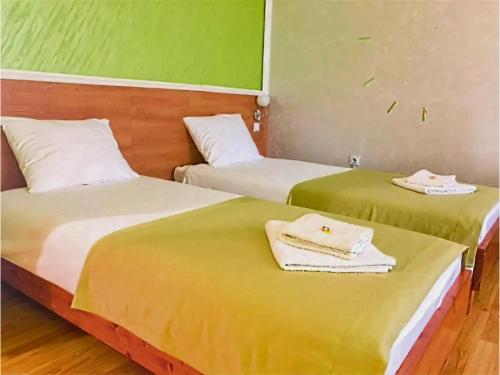 two beds in a room with green walls at Villa Saturea in Boljevac