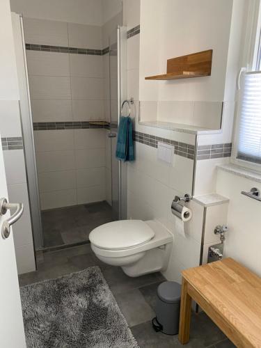 a bathroom with a toilet and a shower at Altstadt-Apartment Kirchblick in Gransee