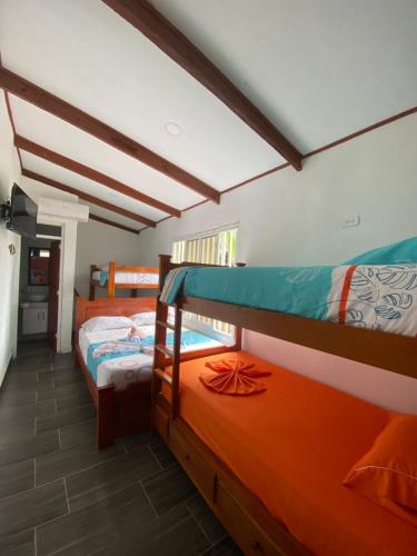 1 dormitorio con 2 literas en una habitación en Acuarios Hostal, en Playa Ladrilleros