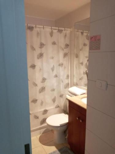 a bathroom with a toilet and a shower curtain at DEPARTAMENTOS SANTIAGO CENTRO in Santiago