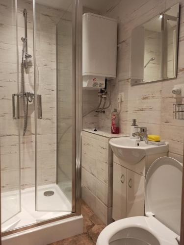 a bathroom with a shower and a toilet and a sink at Tatranská garsónka in Nový Smokovec
