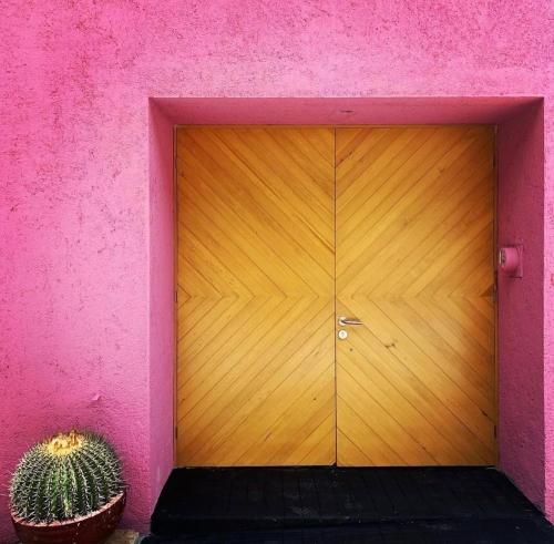 eine Holztür in einer rosa Wand mit einem Kaktus in der Unterkunft Habitación en Casa Estudio Guerrero in Santiago