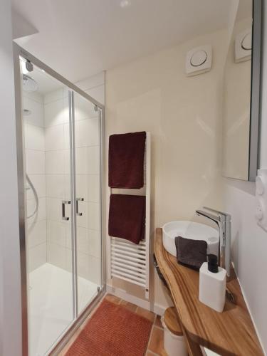 a white bathroom with a shower and a sink at Manoir de la coudre in Changé
