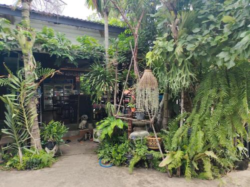a garden with trees and plants in front of a building at ห้องพักนครราชสีมา The Rich Room in Ban Pra Dok