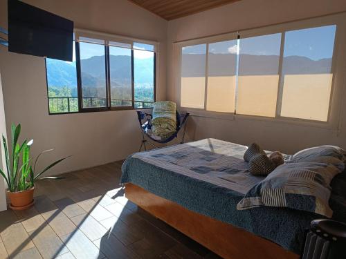 a bedroom with a bed in a room with windows at Apartment Ujarraz Irola's in Cartago