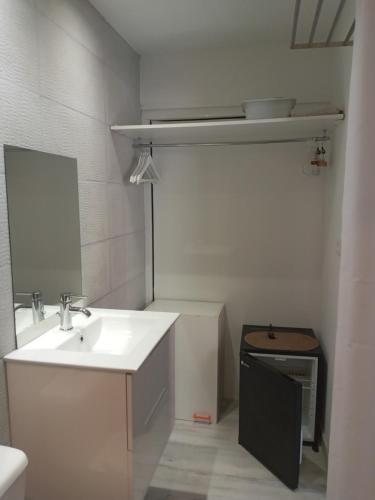 La salle de bains est pourvue d'un lavabo et d'un miroir. dans l'établissement Petit coin de paradis, à Baie Nettlé