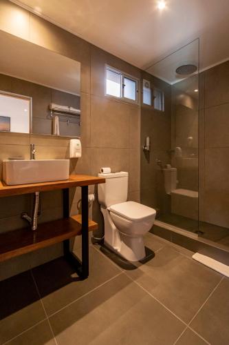 a bathroom with a toilet and a sink and a shower at TAS D VIAJE Suites - Hostel Boutique in Punta del Este