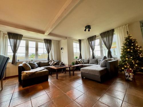 a living room with a christmas tree and a couch at Charmantes Ferienhaus an der Mosel in Ediger-Eller