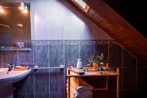 ピエドラフィタ・デ・ハカにあるLas Vistas de Peña Blancaの屋根裏のバスルーム(シンク、シンク付)