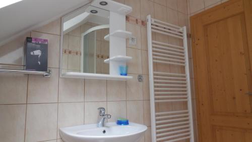 Koupelna v ubytování Apartments Savinja
