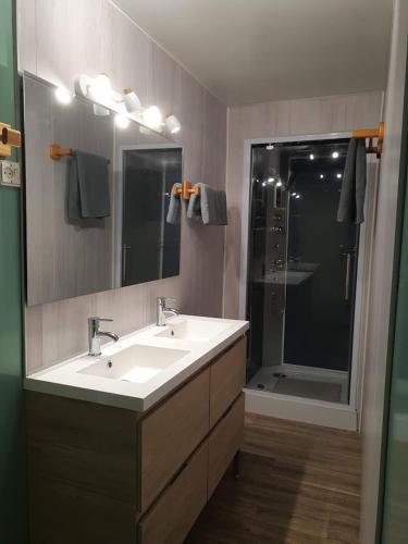 une salle de bain avec un lavabo blanc et une douche dans l'établissement Gîte Les Hortensias, à Vaas