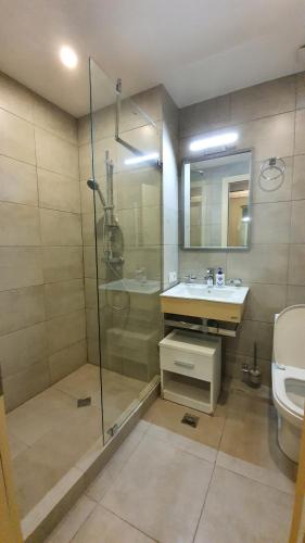 a bathroom with a shower and a sink and a toilet at New Gudauri Apartment near the ski lift in Gudauri