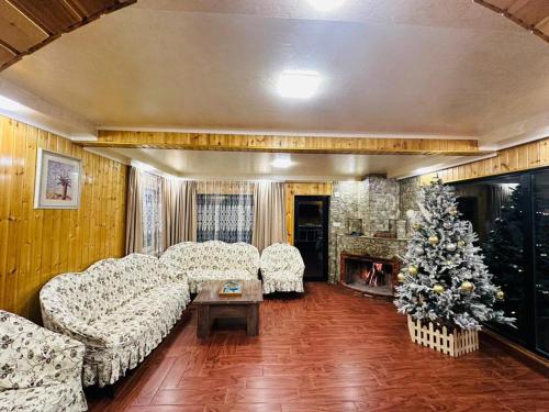 una sala de estar con sofás y un árbol de Navidad en Sky Lipa, en Khulo