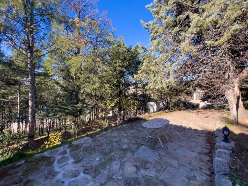 a picnic table in the middle of a yard with trees at La cabaña del Burguillo in El Barraco