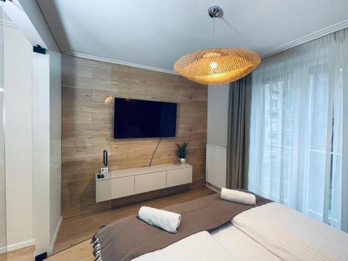 ein Schlafzimmer mit einem Bett und einem TV an der Wand in der Unterkunft Cityluxandloft Bestern 2 in Szeged
