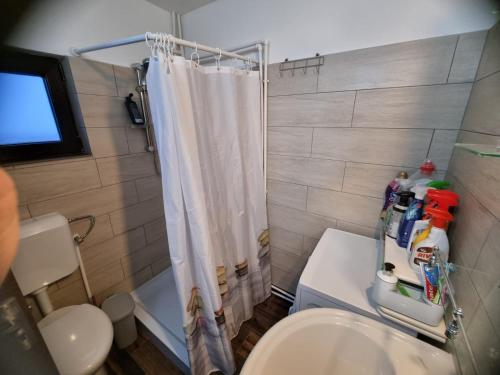 La salle de bains est pourvue d'une douche, de toilettes et d'un lavabo. dans l'établissement CABANA MERISORULUI, à Borşa