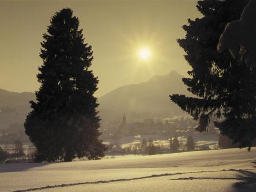a snow covered field with two trees and the sun at Ferienwohnung mit Dampfbad in Wertach