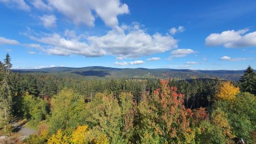 una vista de otoño de las montañas y los bosques en Apartmán Achát v Jizerkách, en Janov nad Nisou
