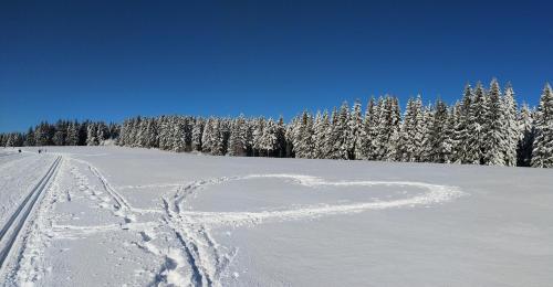 un corazón atraído por la nieve en una pista de esquí en Apartmán Achát v Jizerkách, en Janov nad Nisou