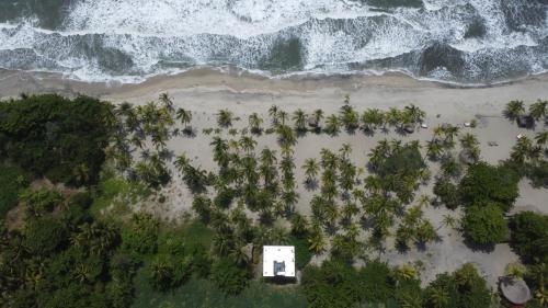 an aerial view of a beach with palm trees at Natyva House in Guachaca