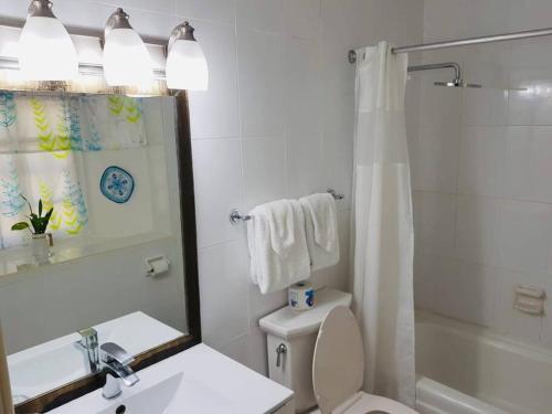a bathroom with a toilet and a sink and a shower at Simply Mystical in Ocho Rios