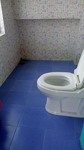 a bathroom with a white toilet in a blue floor at Hotel Happy Home in Ravangla