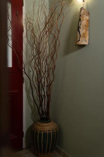 a vase with a plant in it in a room at Delphian Colors - Orange Edition in Delfoi