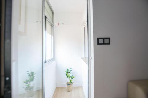 una habitación con un espejo y dos plantas. en Apartamento moderno y céntrico en Huesca ciudad, en Huesca