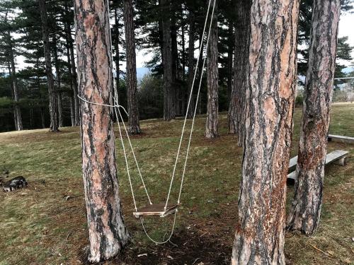 a swing hanging between two trees in a forest at Apartman Luković in Zlatibor