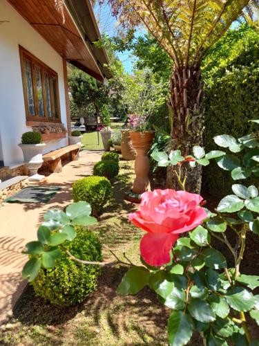 a garden with a red rose and a tree at Suítes no Chalé - Cabanas in Campos do Jordão