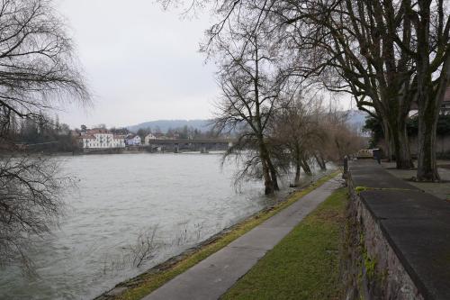 a view of a river with a sidewalk and trees at Galluskapelle in Bad Säckingen