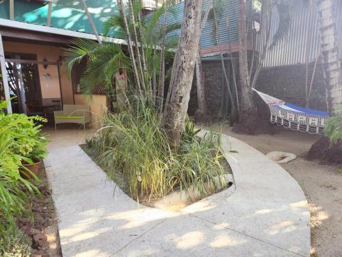 a palm tree in front of a house at Hotel La Palapa in Tamarindo